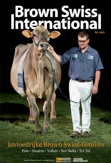 De beste Brown Swiss