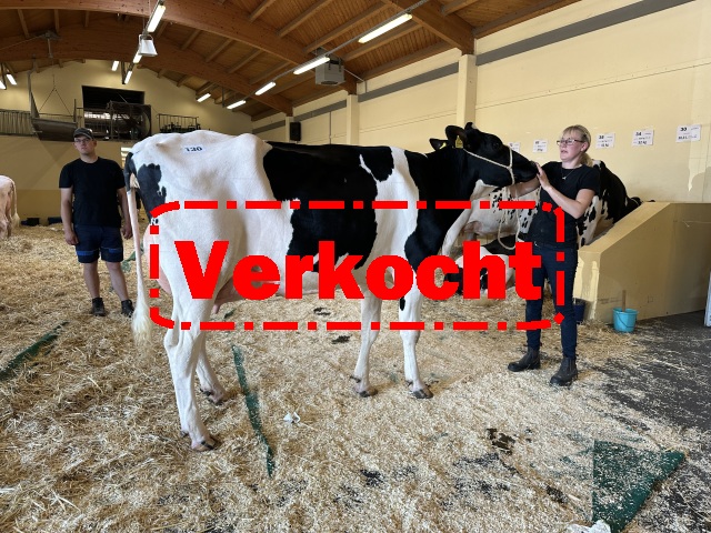 Dinsdag 10-9 Veiling Cloppenburg!!